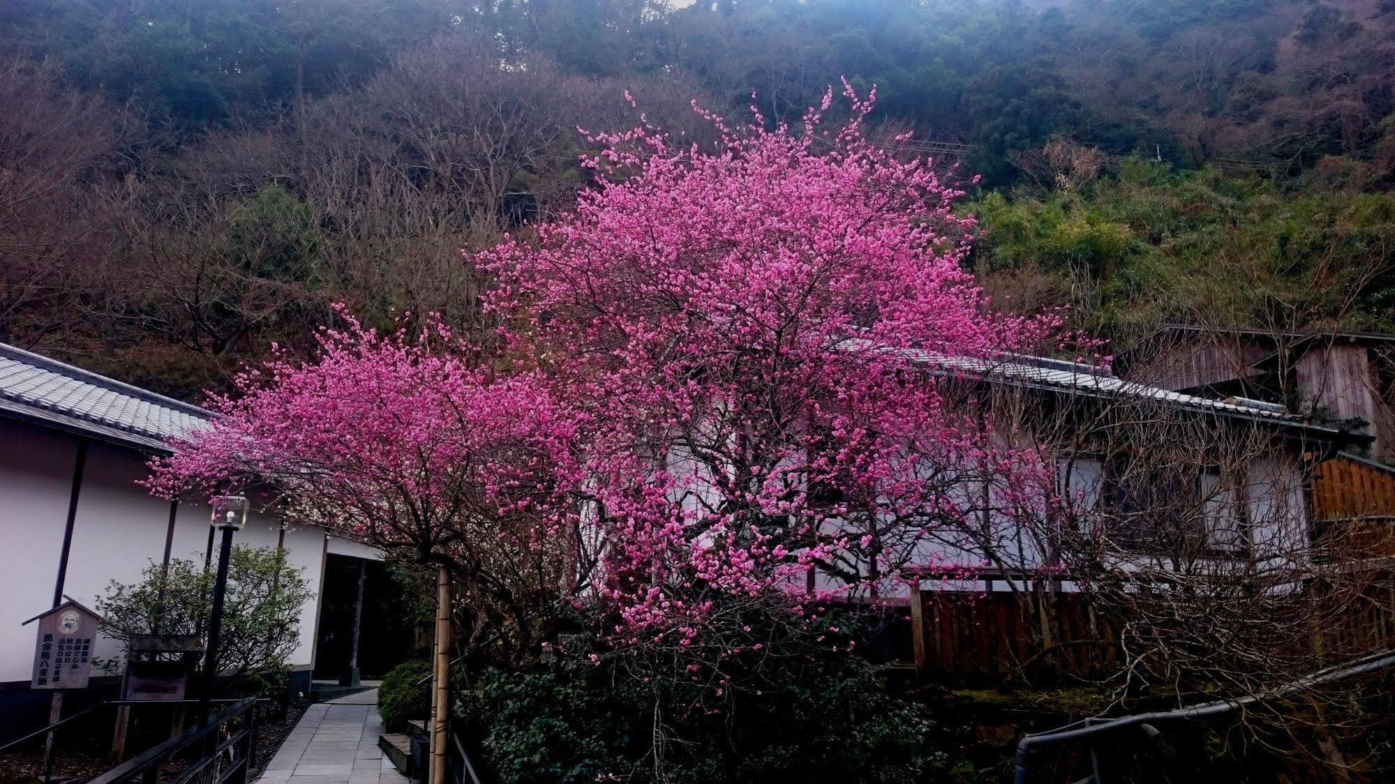 Beppu Showaen Exterior photo